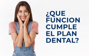 QUE FUNCION CUMPLEN LOS PLANES DENTALES